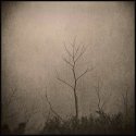 Foggy Day