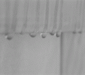 Far-Travelled Raindrops