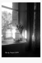 Kitchen window sill
