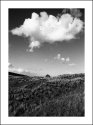 The sheepherders hut