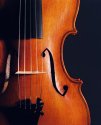 the Hudson 5 string violin