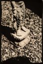 Lotus feet