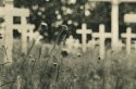 St Ignatius Cemetery 3
