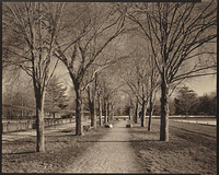 Chagrin Falls Spring