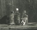 The Day My Little Pony Fell Off The Wagon