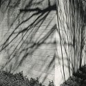 Bent Shadows