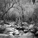 The path down