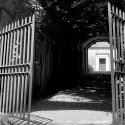 The way in