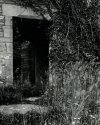 St Mary's Church - Tintern 2