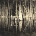 O'Neal Stumps (Print - Photostock 2009)