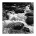 AVONMORE RIVER 1