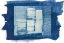 cyanotype 2