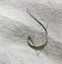 music and sand