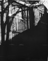 Winter Refuge