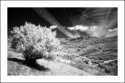 ANDALUSIAN LANDSCAPE