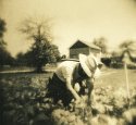 Neil In The Garden