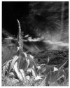 Ir Landscape Spain