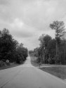 The Long Road