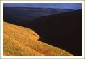 Pen-y-ghent Gill
