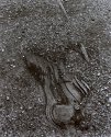 No 17 (railway Sleeper)
