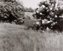 Colliery Remanins, Warrens Hall