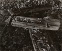Sleepers, Himley Woods