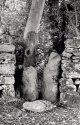 Squeeze Stile