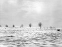 Winter - 2