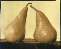 Pair Of Pears