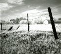 Farm Site