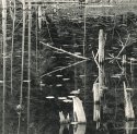 O'Neal Lake, Photostock 2009