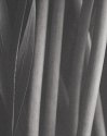 Leaf And Stems