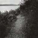 Lakeside Path - Little Things