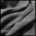 A Pair Of Jeans, A Culture - #04