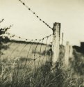 Fence 3