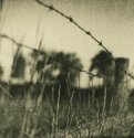 Fence 5
