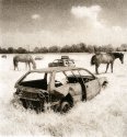 Last One Standing Ii