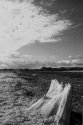 Playa Aguasal