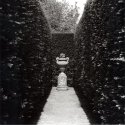 Sissinghurst IV
