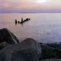 A New Take On Bills Spot (photostock 2009)