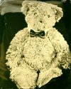 Mr. Teddy