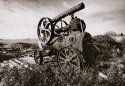 Old Workhorse