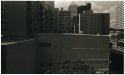 12x20 - Downtown Austin