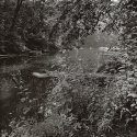 Neshannock Creek