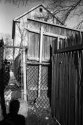 Fences