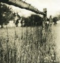 Lin's Fence 2