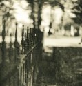 Cemetery Fence 2