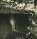 Bench Impressions 1
