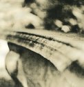 Bench Impressions 5