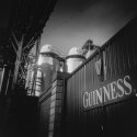 Guinness Brewery